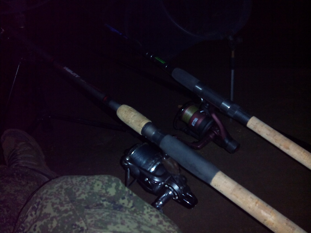 Фидерные посиделки 2015 09