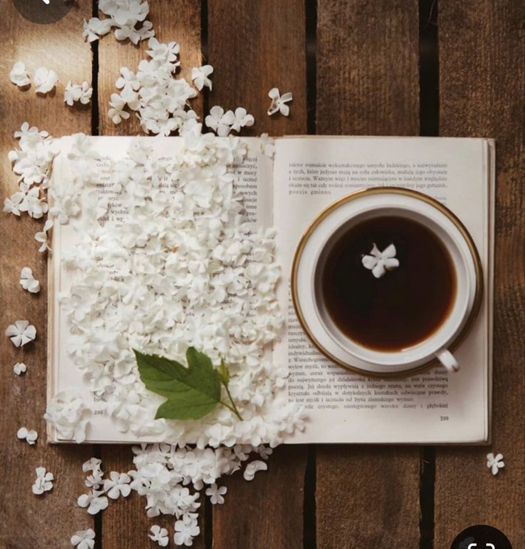 Screenshot_20240604_160445_Pinterest