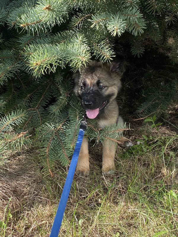 A57A7984-0778-4926-9630-BA57BBA89F1E