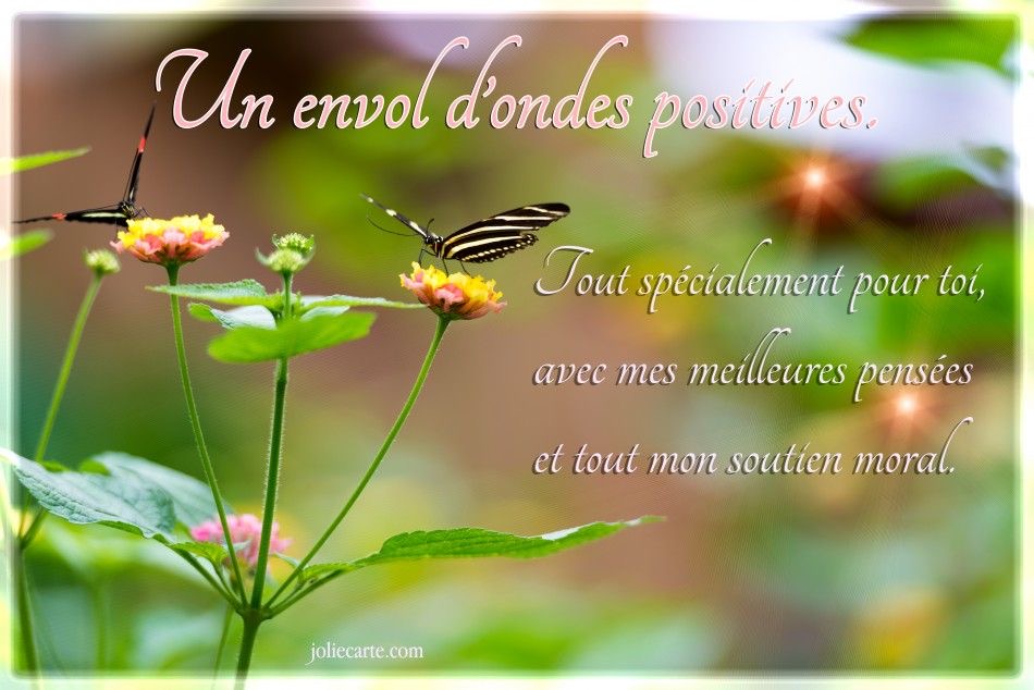 [Image: IMG-0928.jpg]