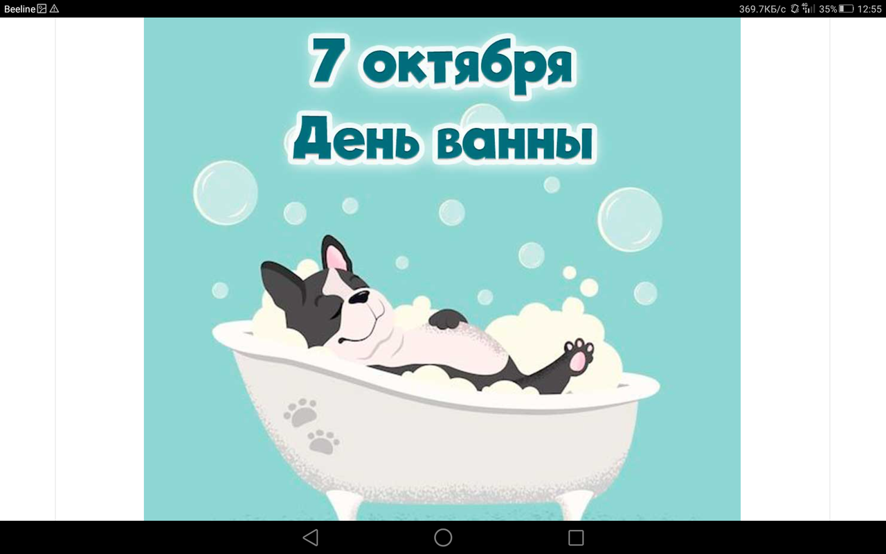 Screenshot_2023-10-07-12-55-57