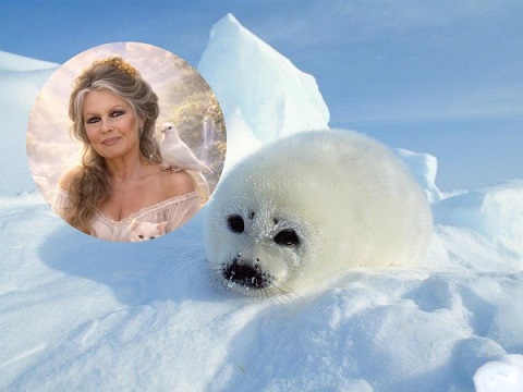 pixiz 03 01 2026 18 19 22