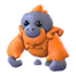 Orangutan