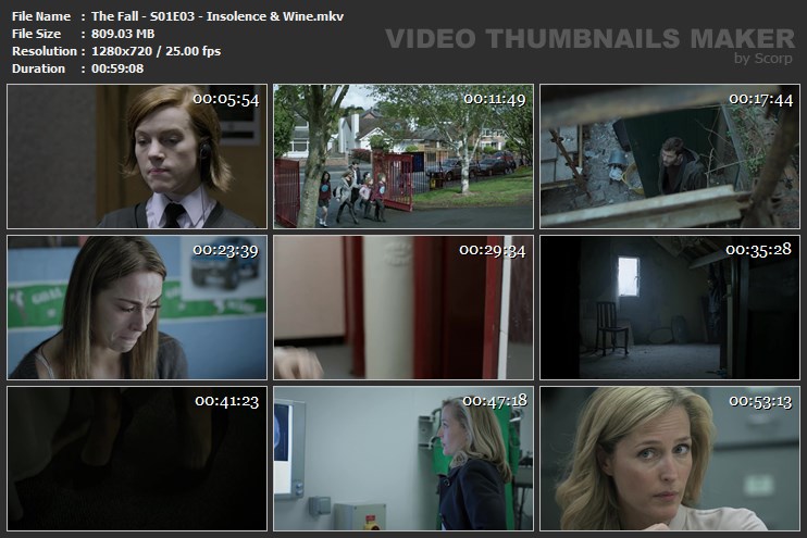 The Fall - S01E03 - Insolence & Wine.mkv
