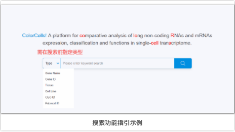 单细胞lncRNA分析-4.png