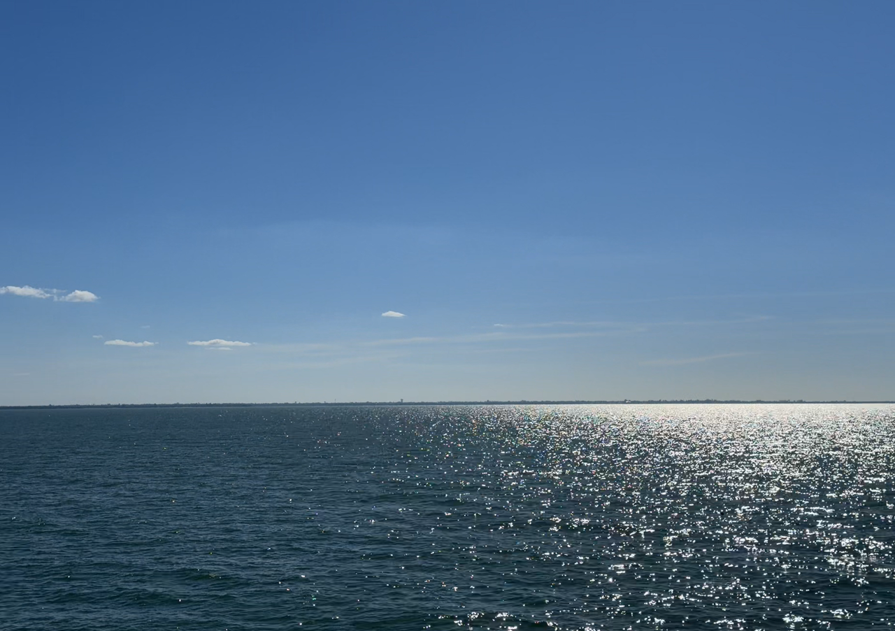 [Image: Skyway-Bridge02.png]