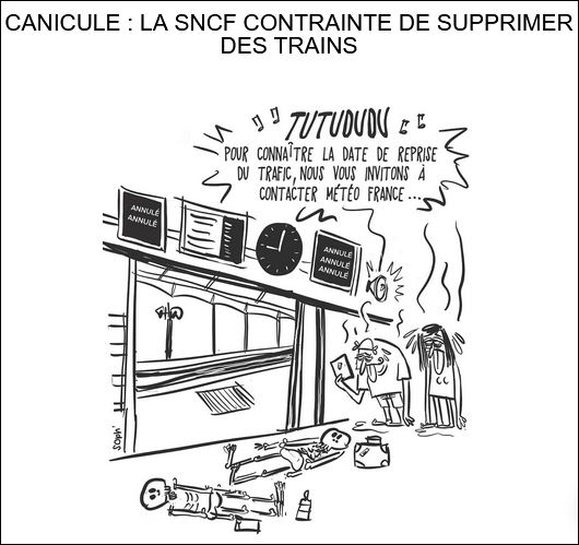 text alternatif