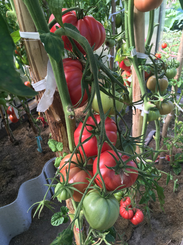 ED790261-D07E-46D2-86A3-B5E436836FAD