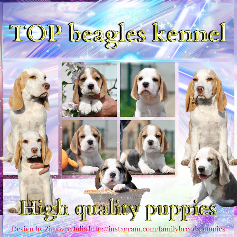 !!!!!!!!!!!!!!!!!!!!!!!!!!!!!!!!!!!!!MyCollages(5sup2)