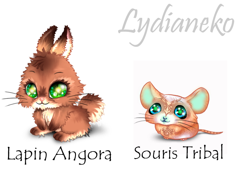 https://i.postimg.cc/NGHDZZFJ/lapin-angoetsouris-tribal.jpg