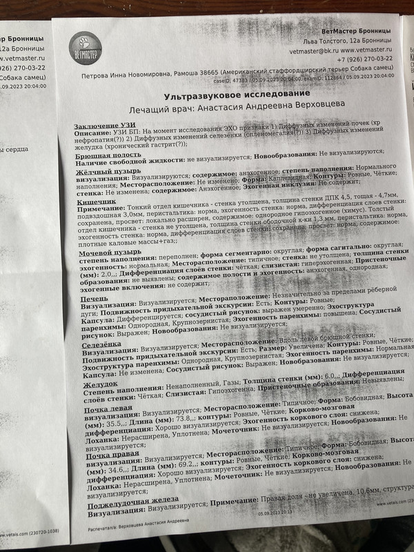 7CBB9B1A-B42E-49F7-8661-B6FD7C098538