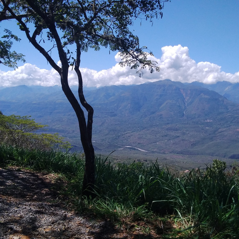 Зимовка 2026, полтора месяца в Колумбии.