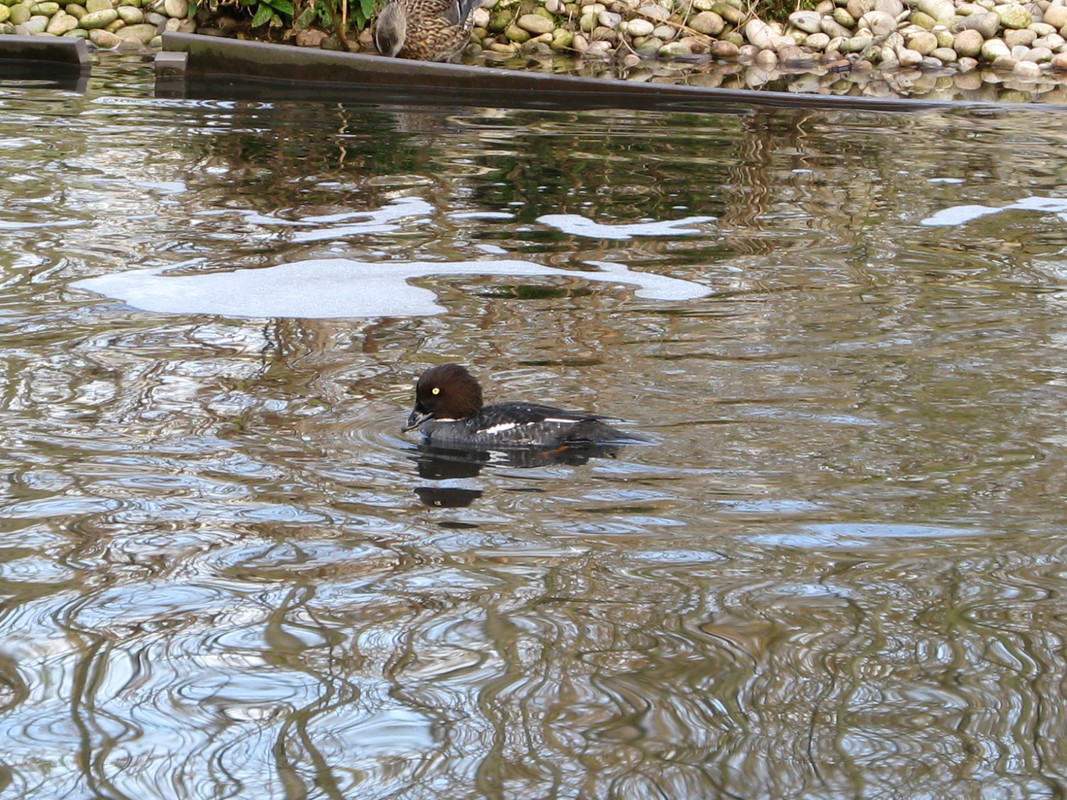 6C9919F5-3401-497C-8DED-368251B13A6F