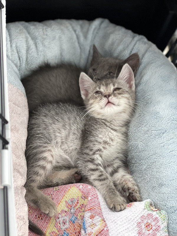 47F90E41-92A9-49D0-BF6B-1A402D375C89