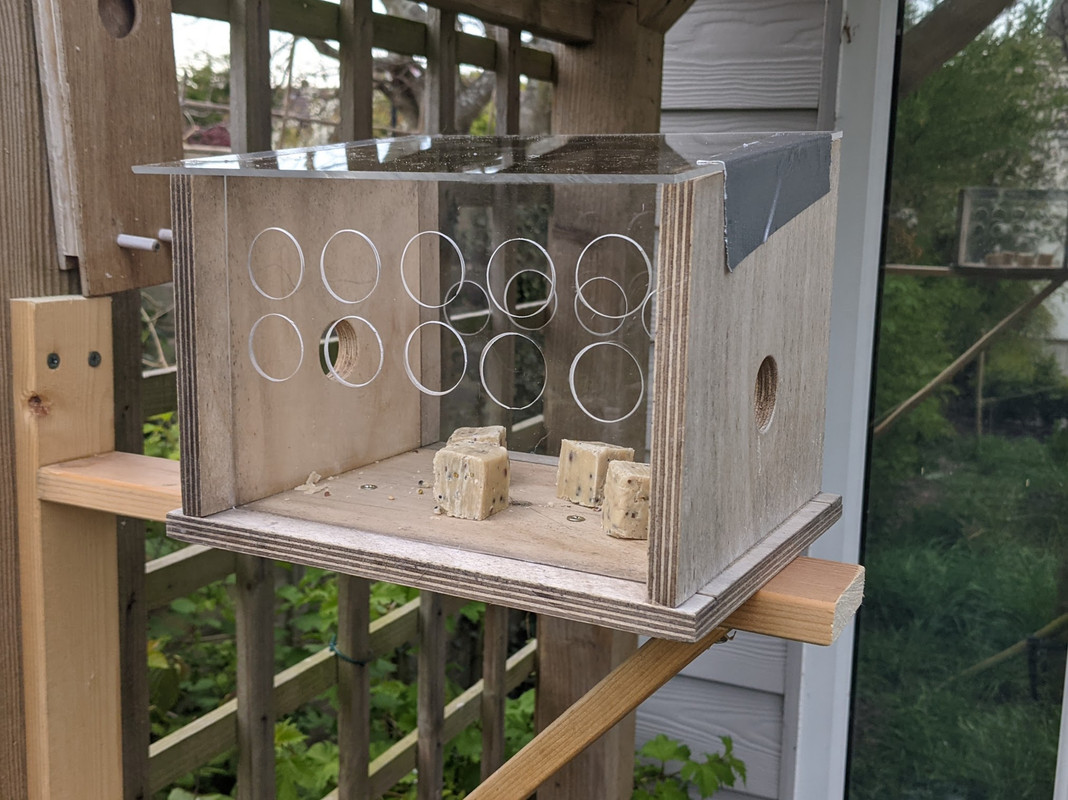 PXL_20210502_174827657 (1)