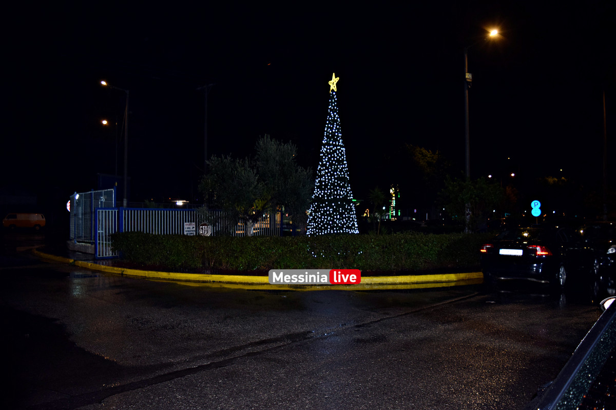 ΔΙΟΚΛΗΣ ΔΕΝΤΡΟ DSC_0003