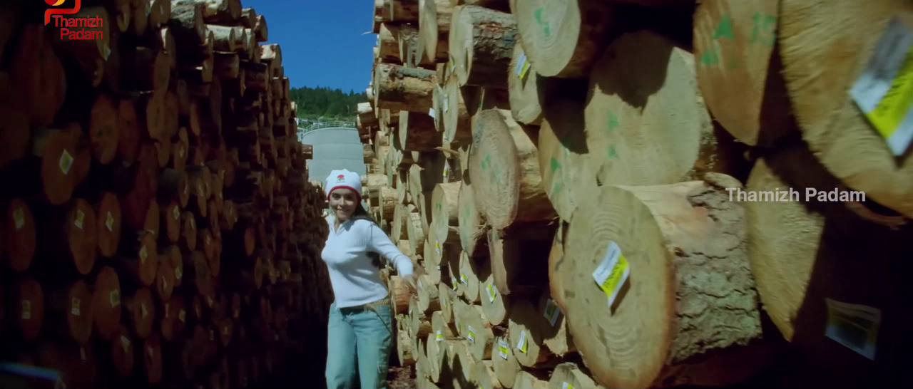 vlcsnap-2025-09-30-17h37m46s764