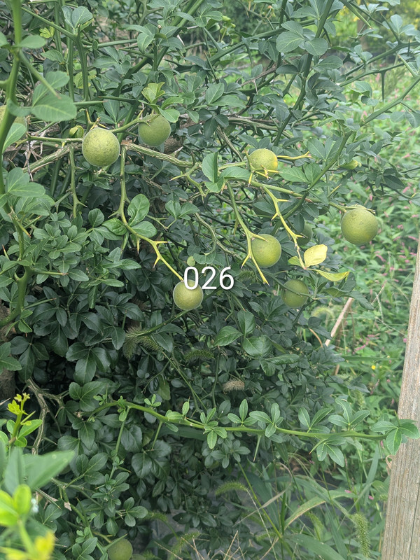 PXL 20260919 190211149 2