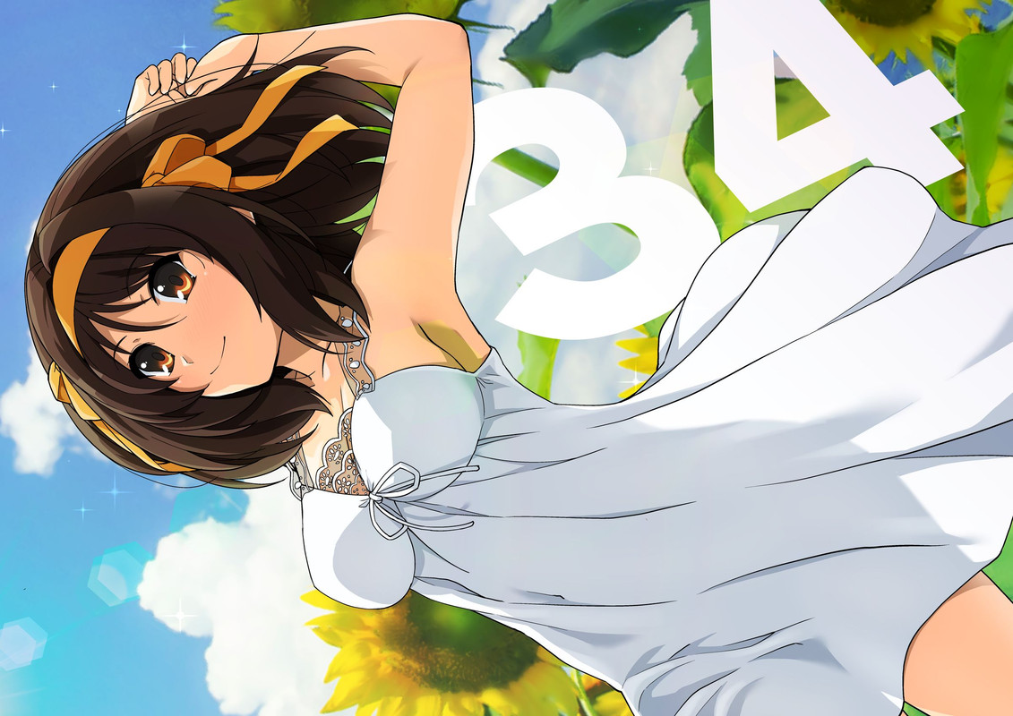 suzumiya-haruhi-suzumiya-haruhi-no-yuuutsu-drawn-by-haruhisky-3be6ccc612fed56cc7e8f70d8f98d20c-1