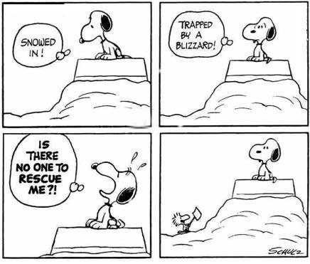 f13dcbdc-9222-4927-b0bc-e7895cc135d1