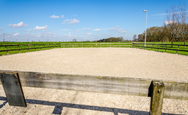 horse arena construction fingal