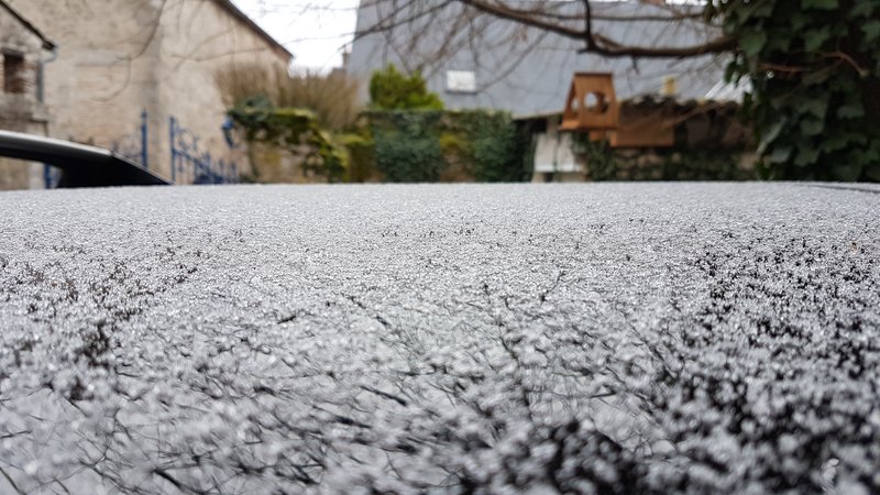 20210116-100747.jpg