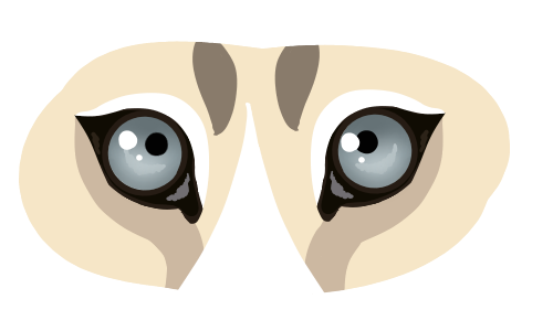 Lumpy-Eyeballs.png