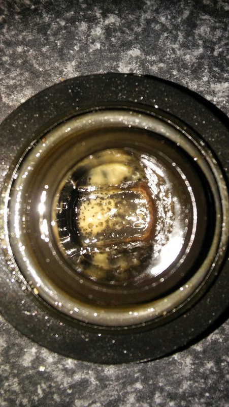 20181117_151813 (Small)