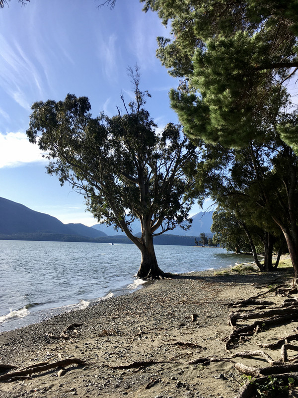 B3EDE190-8EC4-44B6-BF7C-FFC264B3E30F