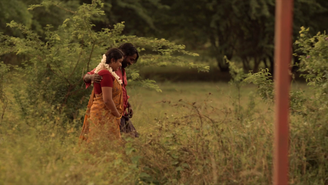 vlcsnap 2026 02 23 18h07m57s070