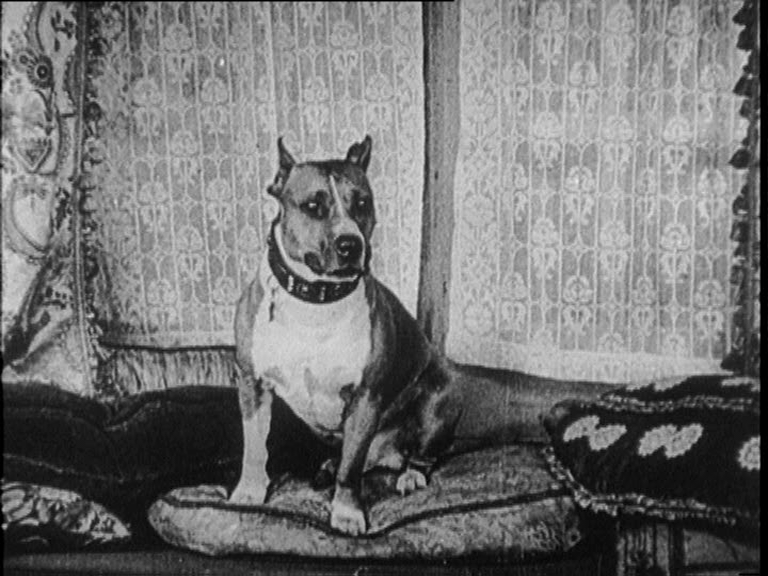 vlcsnap-2018-06-13-22h30m05s597