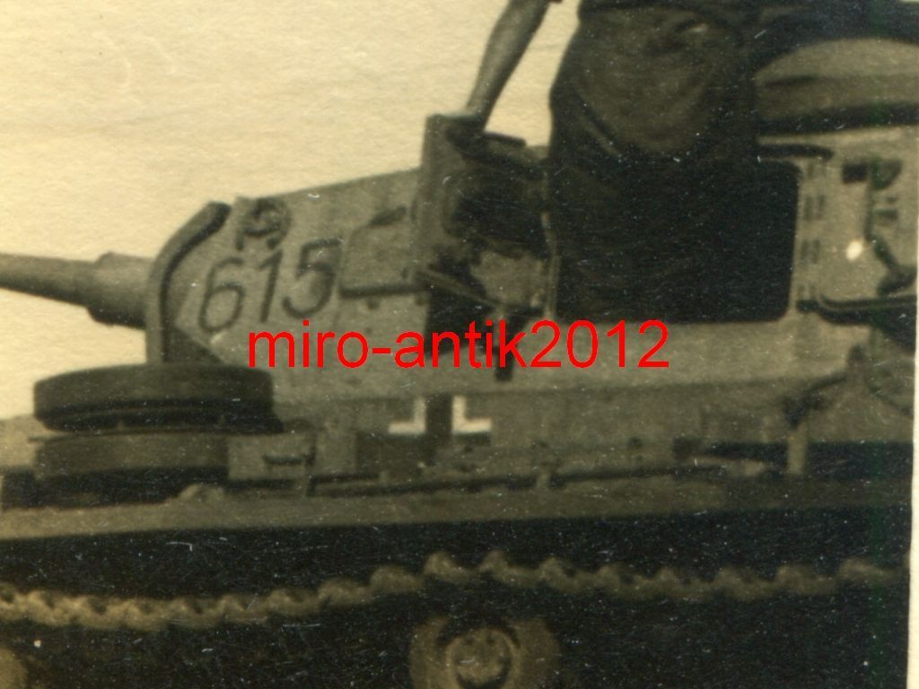 Gebirgsjäger-Regiment 99, Begegnung mit deutsche