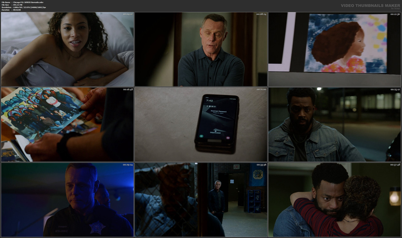 Chicago P.D. S09E05 Burnside.mkv