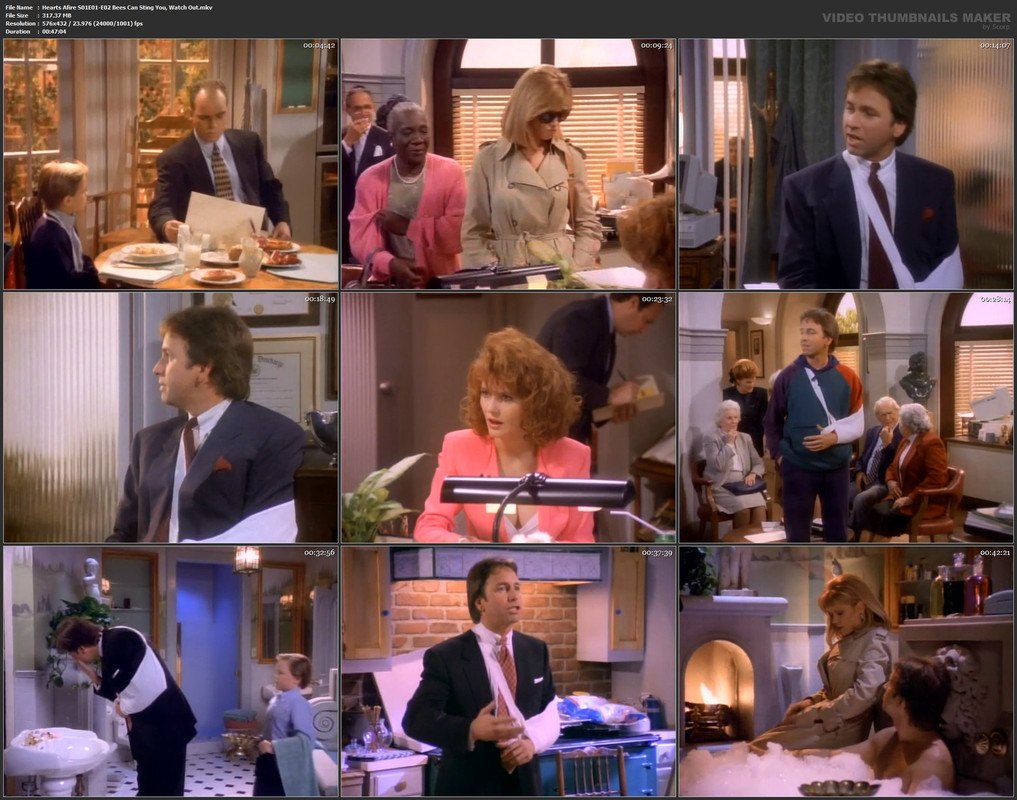 Hearts Afire S01E01-E02 Bees Can Sting You, Watch Out.mkv