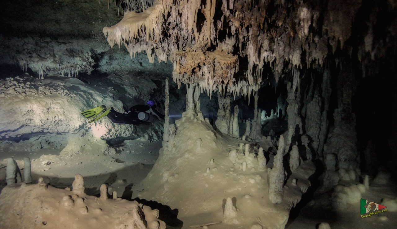 490065974 3896243993970624 3013602775234951257 n