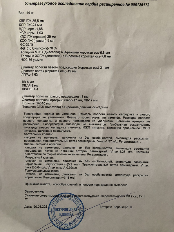 E65B816E-D0AA-4FFD-BCBF-C428298F37B4