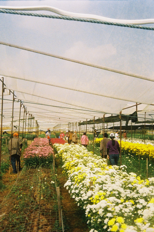 Kodak-UMHF-97-resize