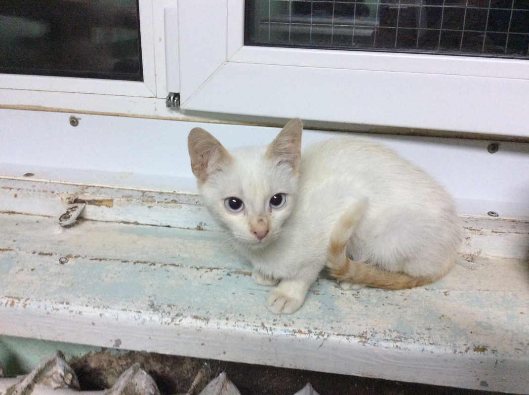 8C53C379-6EB8-4174-9ECC-135A42B61862