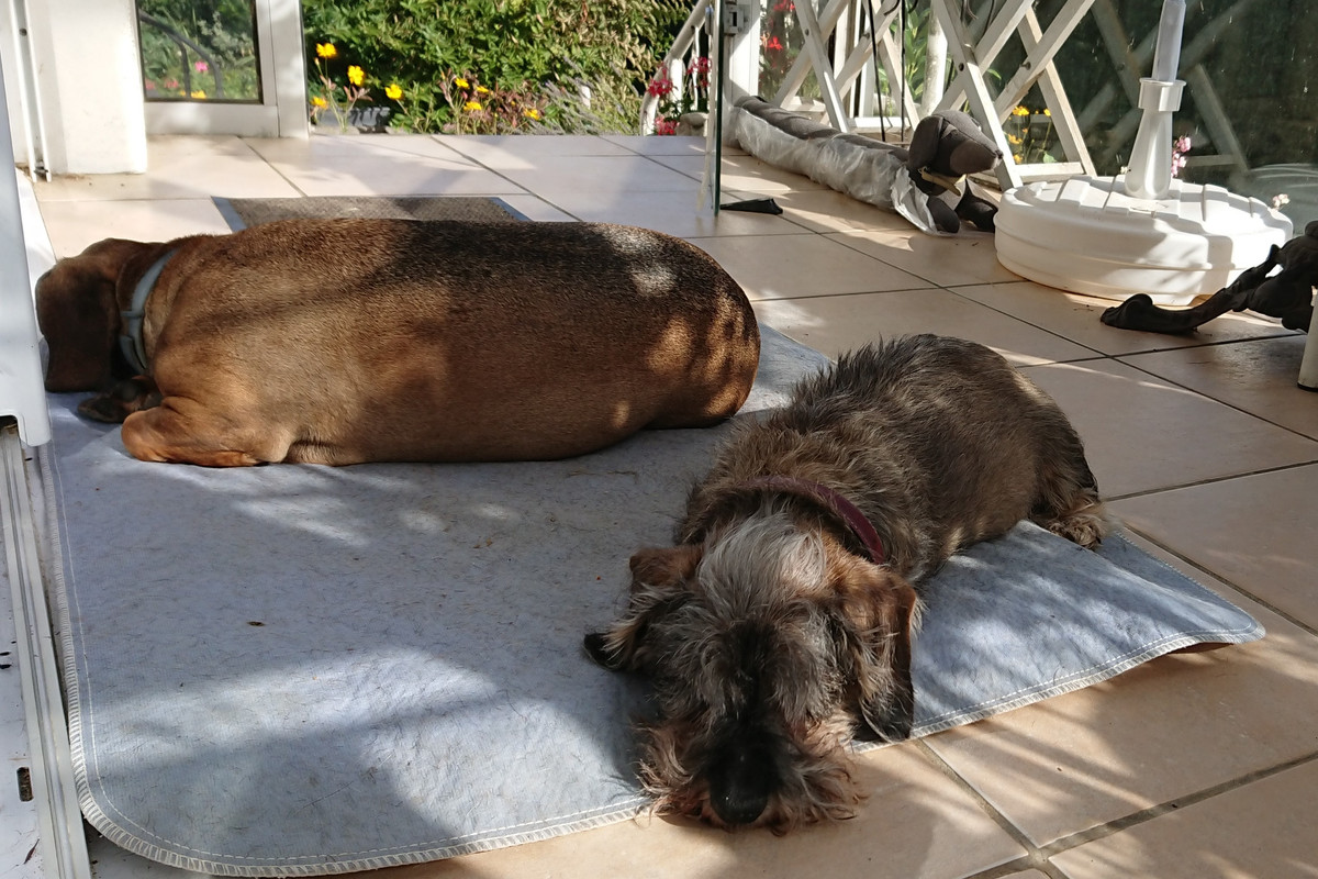 [Image: DSC-2027.jpg]