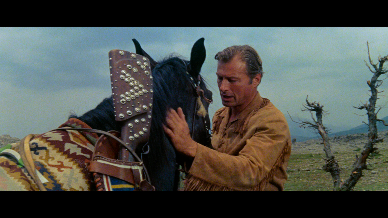 00003.mpls_snapshot_00.49.07_[2024.12.17_17.11.27]