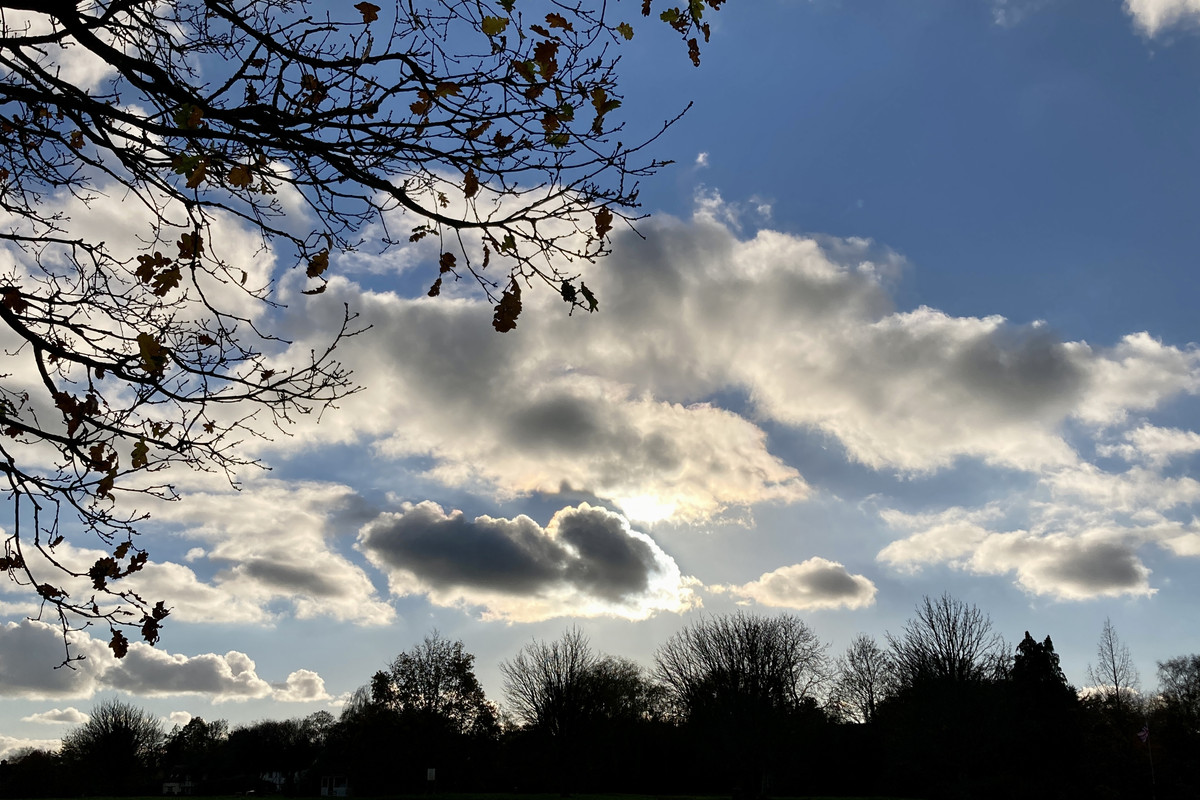 DF97A71F-8585-4498-9DD2-55EED2D2065A