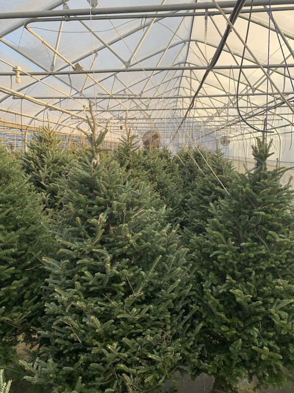 12909EE1-2460-4754-8713-CE18F7D74BF3