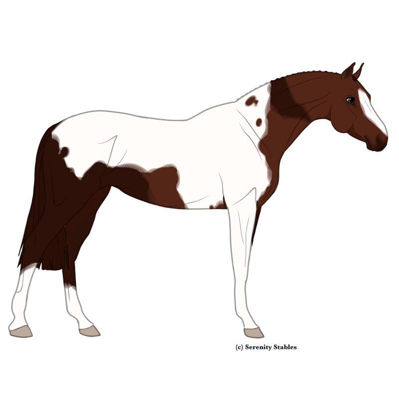Untitled602-20240604091341.png