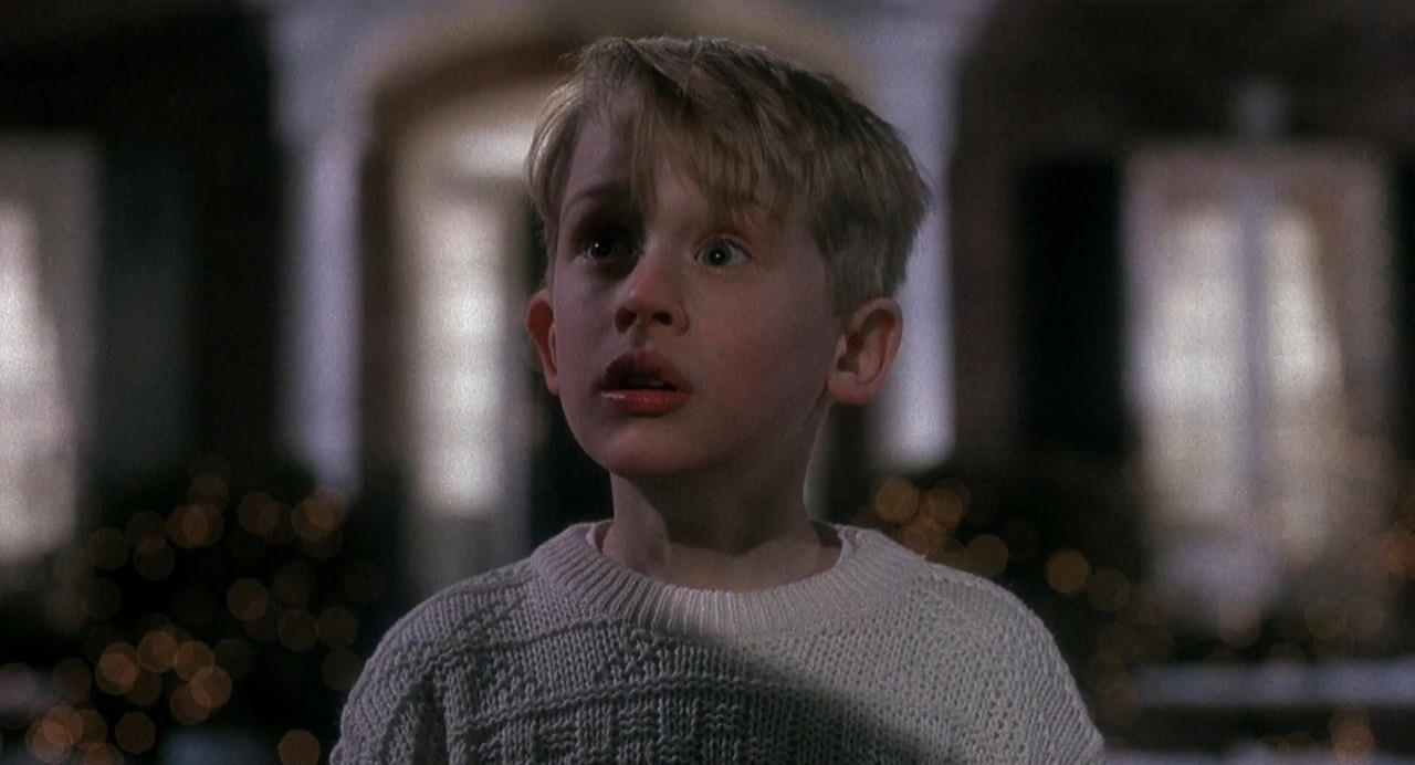 Home Alone 1 1990 BluRay [Hindi + Tamil + English] 1080p 480p 720p ESub Screenshot