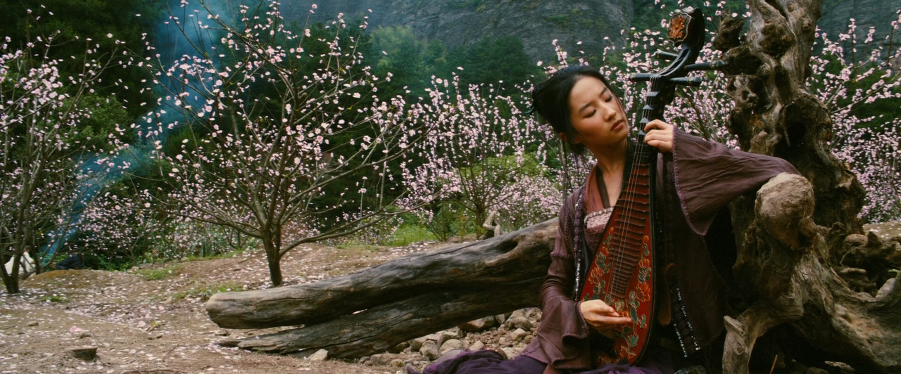 The Forbidden Kingdom 2008 (1080p x265 10bit Tig