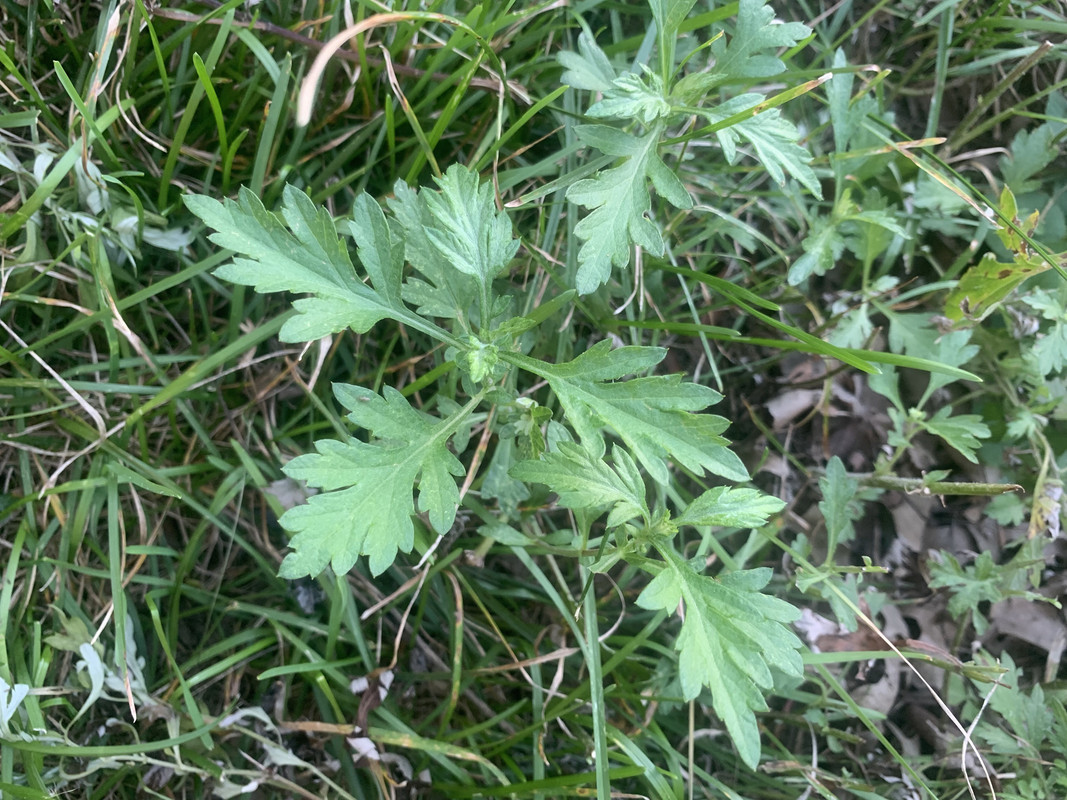 60736181-2EB1-47D8-AEE4-B2026E4EBE85