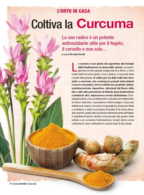 Cur Mang Ott 2022 (11)