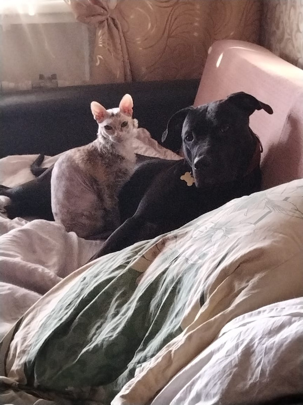 7F056C33-E3BD-4476-9210-95B28AE96CBC