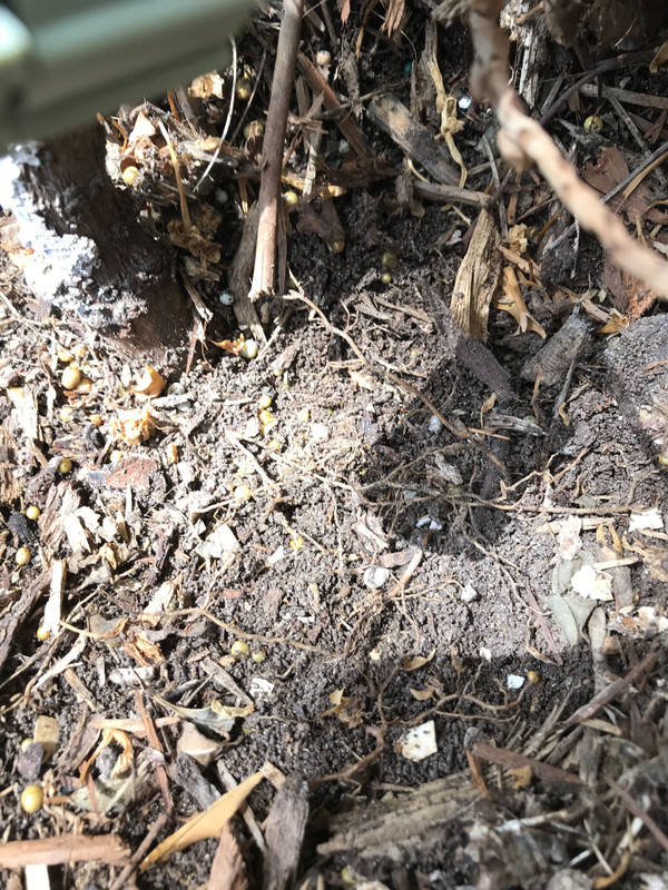 C291AD46-453B-4ACD-A4DB-64468E2AA965