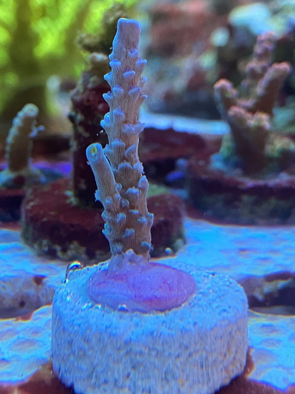 25E873BD-AA4A-47B6-AF23-51C0453FD4A5